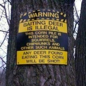 Meet your Posher, Glenn